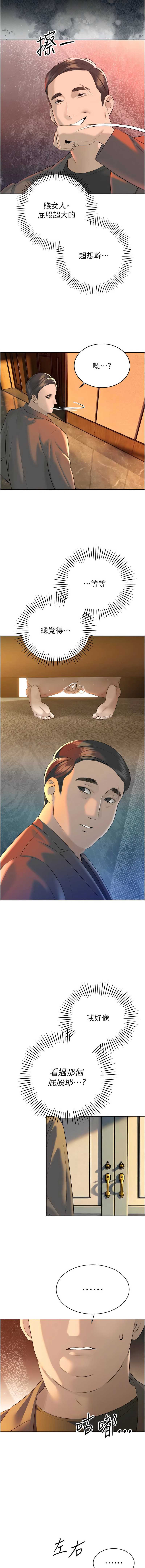 暴君会长的娇媳们