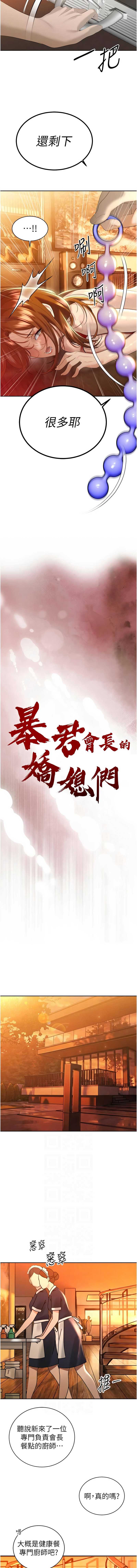 暴君会长的娇媳们