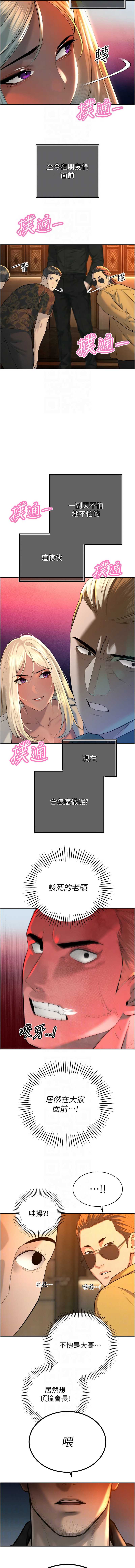 暴君会长的娇媳们