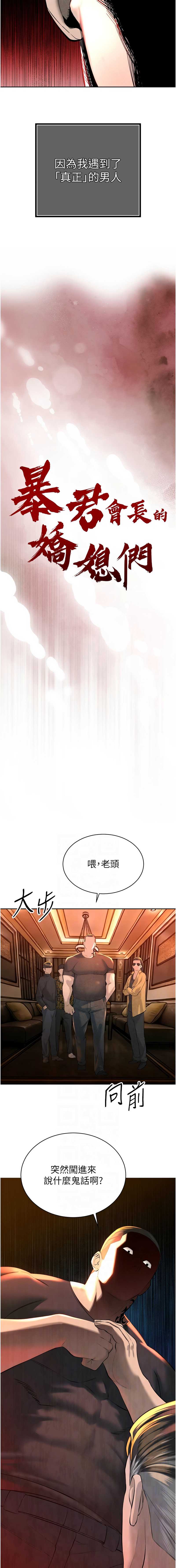 暴君会长的娇媳们