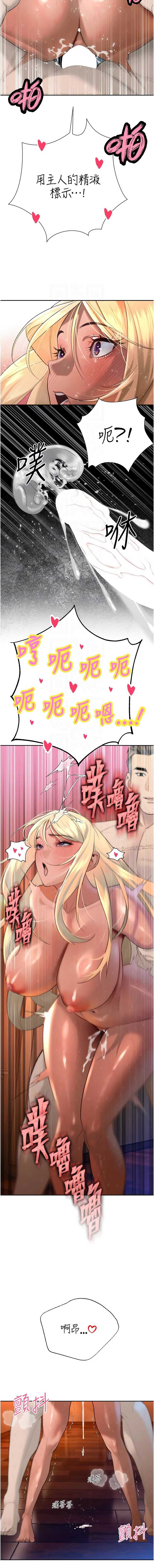 暴君会长的娇媳们