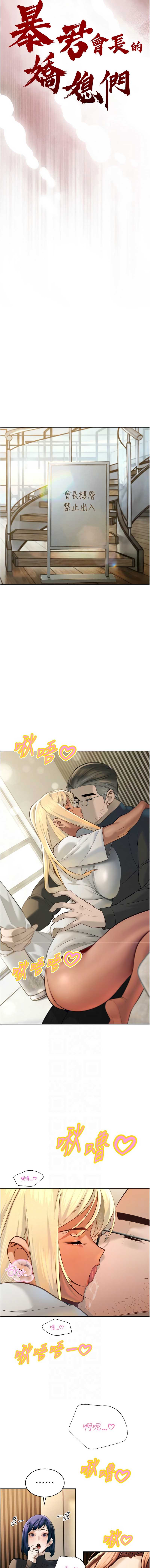 暴君会长的娇媳们
