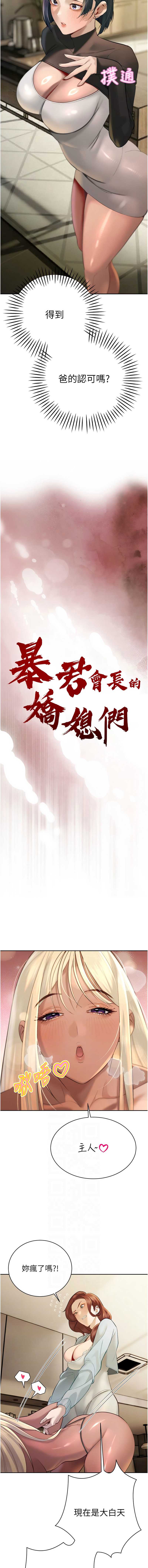 暴君会长的娇媳们