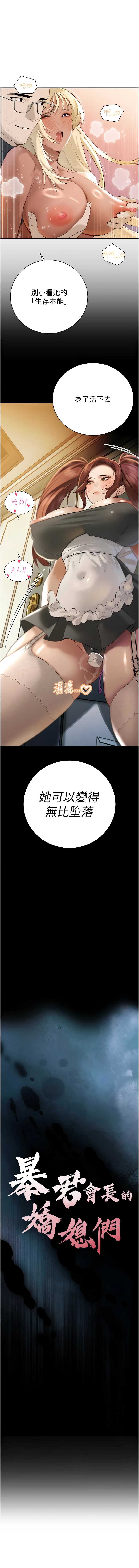 暴君会长的娇媳们