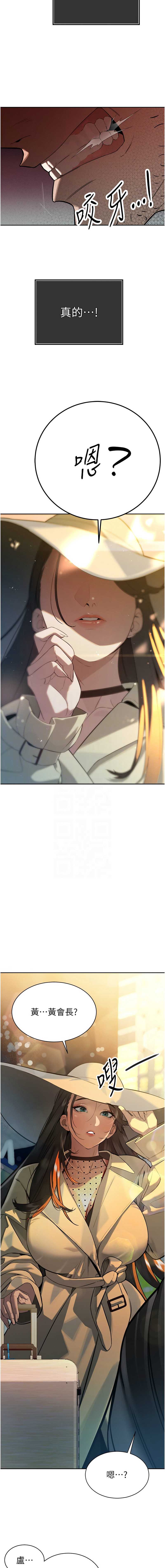 暴君会长的娇媳们