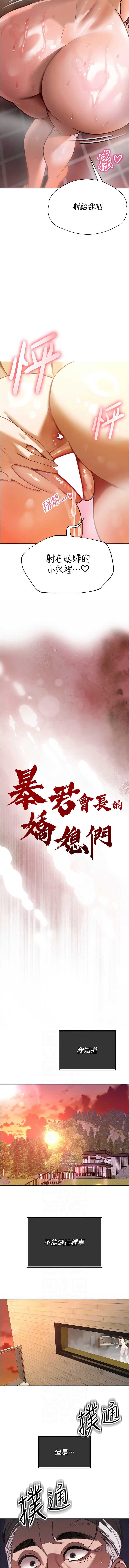 暴君会长的娇媳们