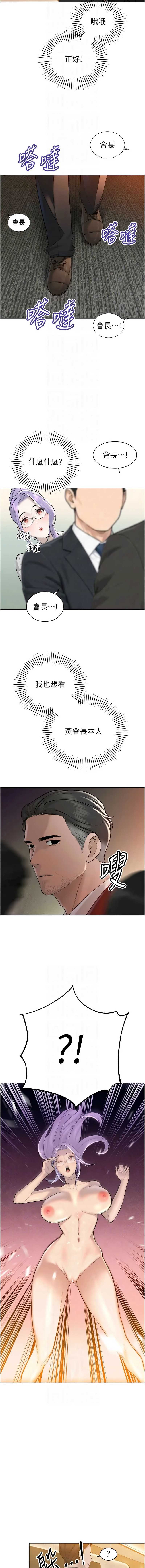 暴君会长的娇媳们