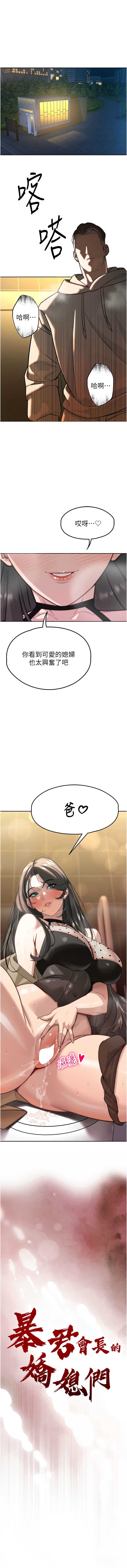 暴君会长的娇媳们