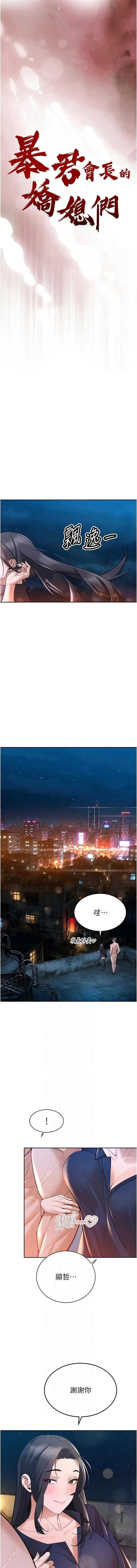 暴君会长的娇媳们