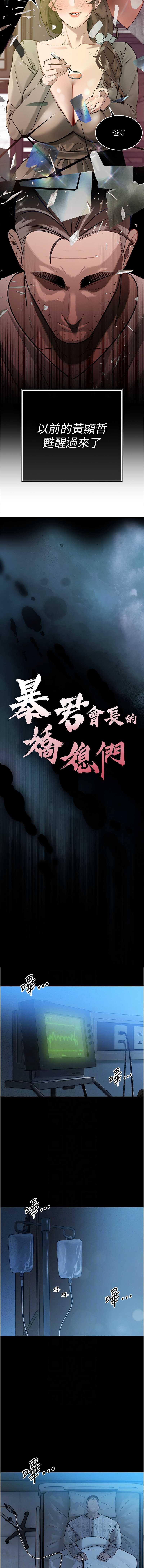 暴君会长的娇媳们