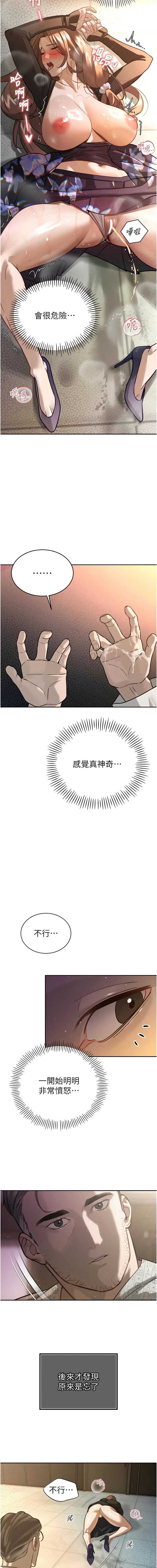 暴君会长的娇媳们