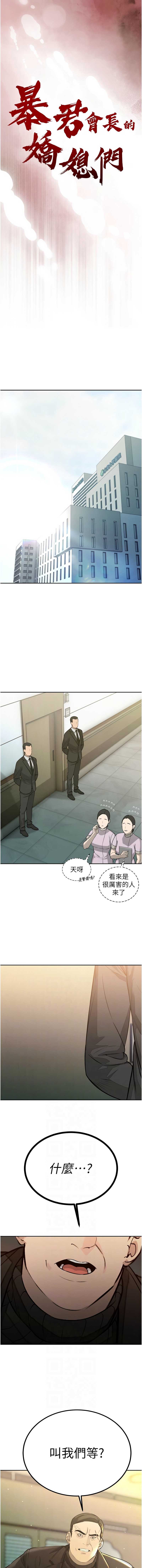 暴君会长的娇媳们