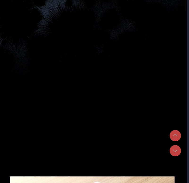 请把女儿交给我