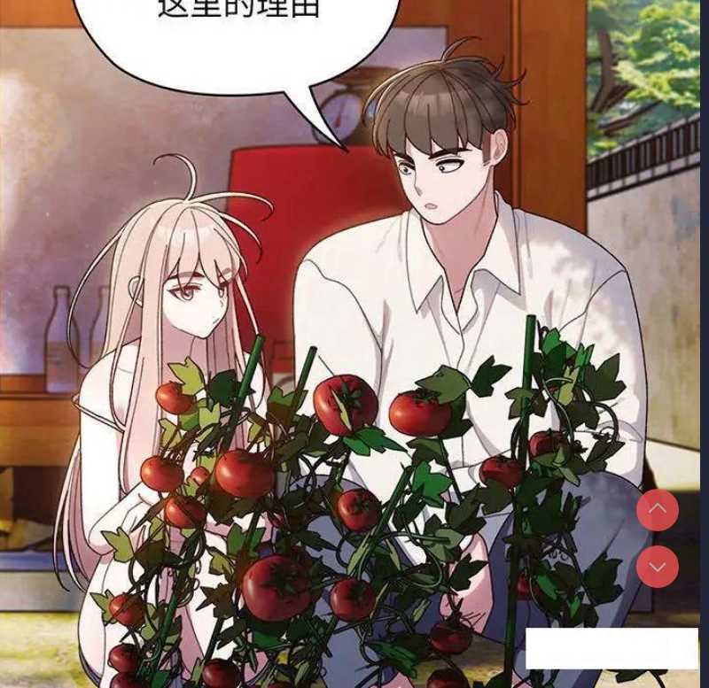 请把女儿交给我