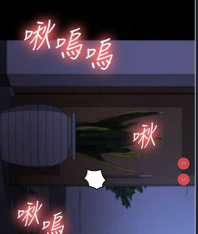 你老婆我收下了