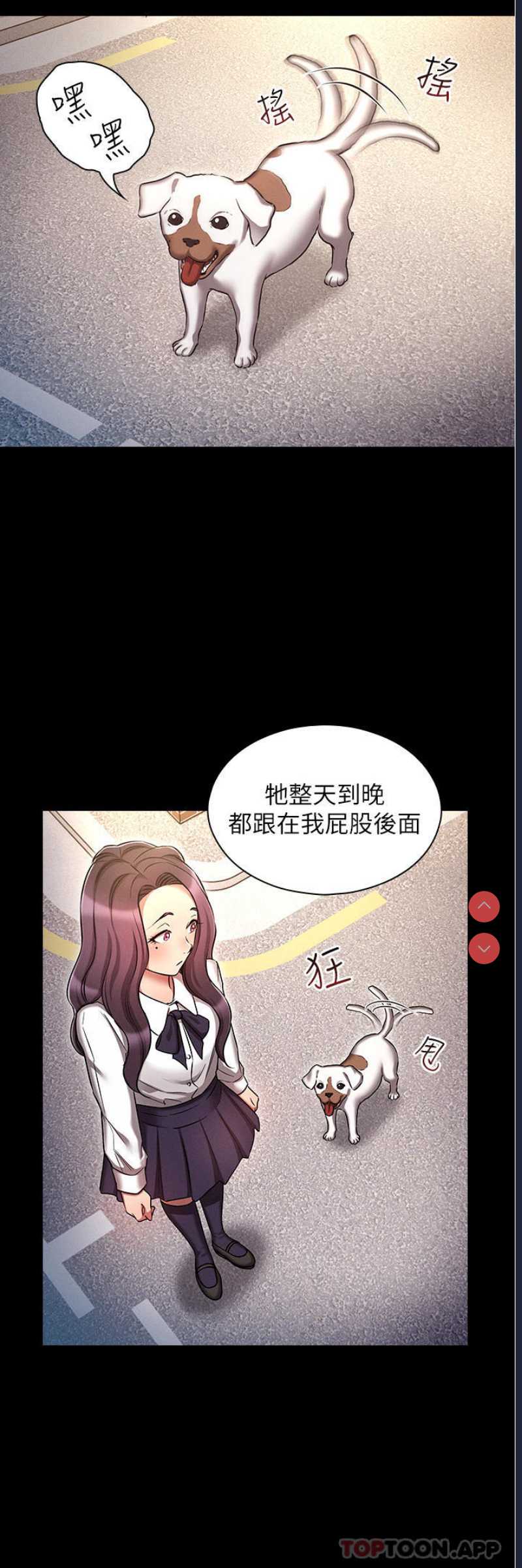 鲁蛇的多重宇宙