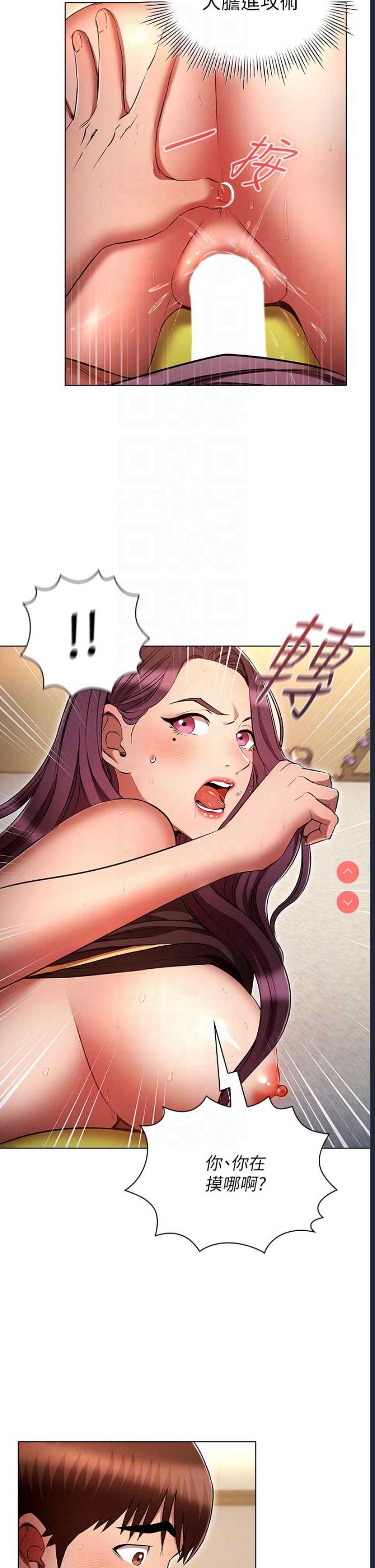 鲁蛇的多重宇宙