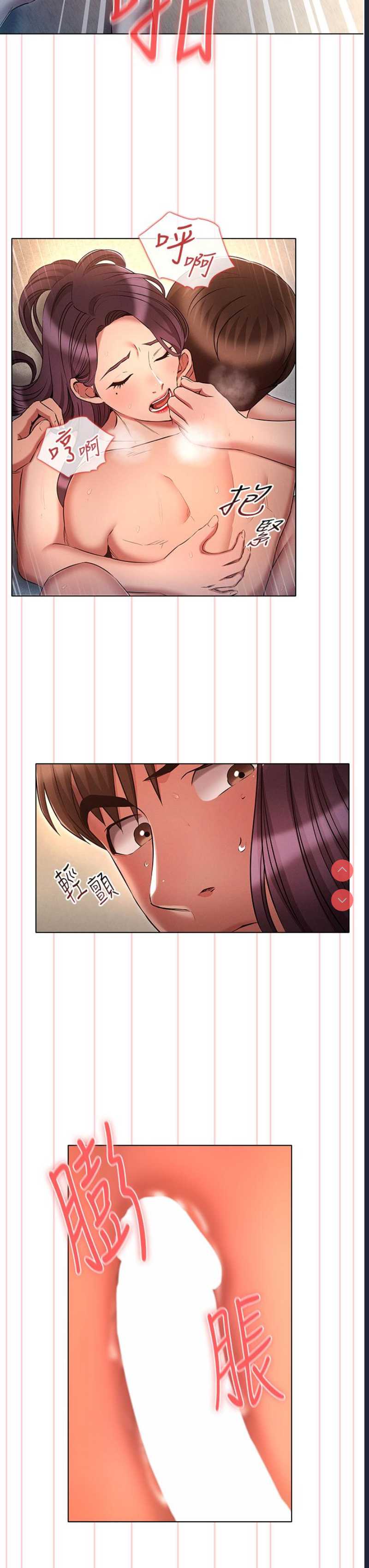 鲁蛇的多重宇宙