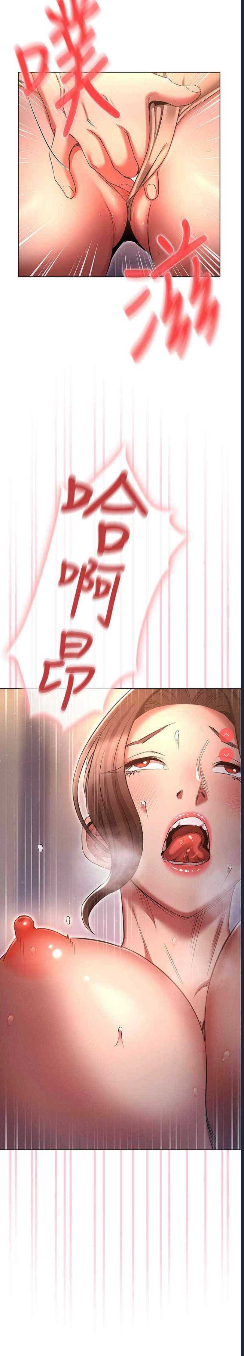 鲁蛇的多重宇宙