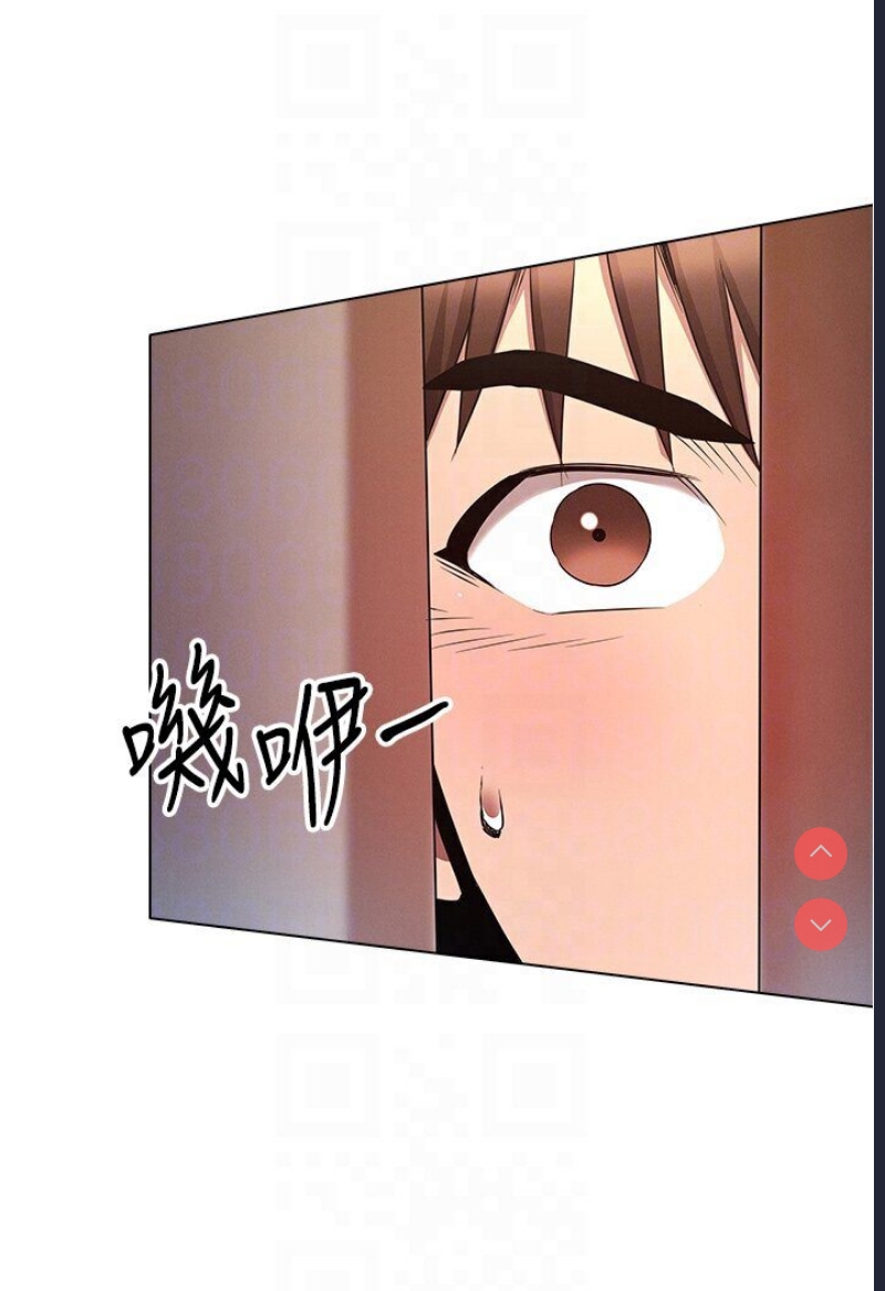鲁蛇的多重宇宙