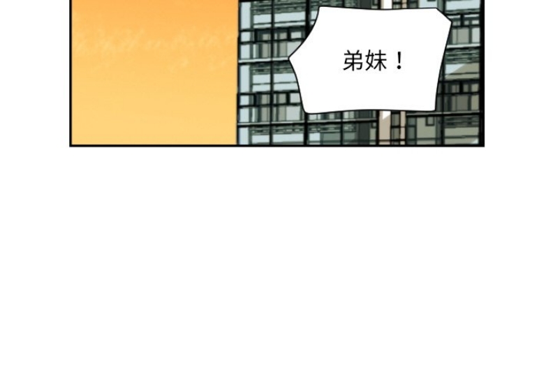 调教小娇妻