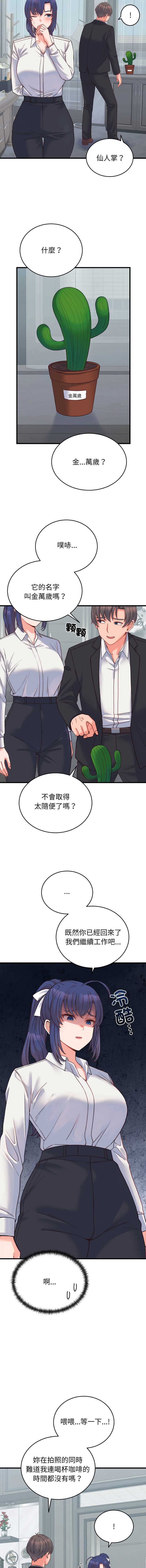 少爷的替身