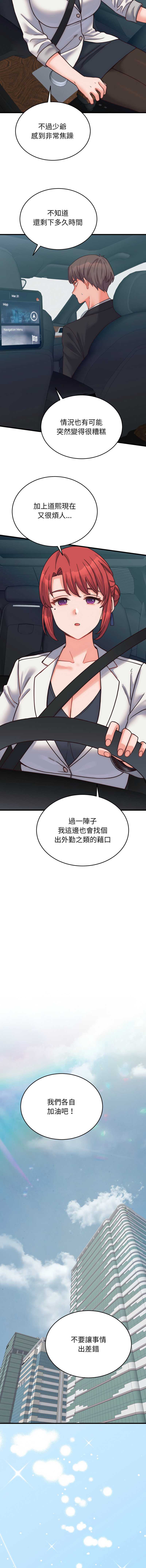 少爷的替身