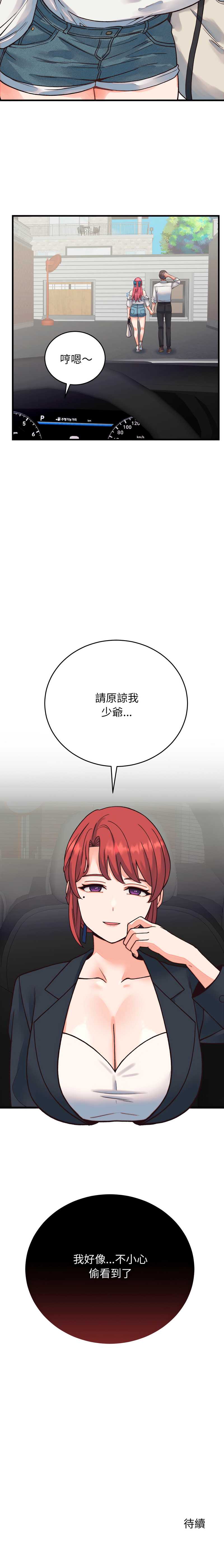少爷的替身