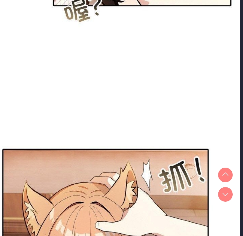 异世界骑士团长