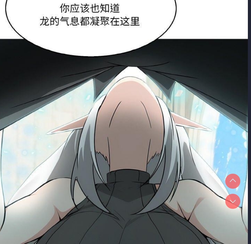 异世界骑士团长