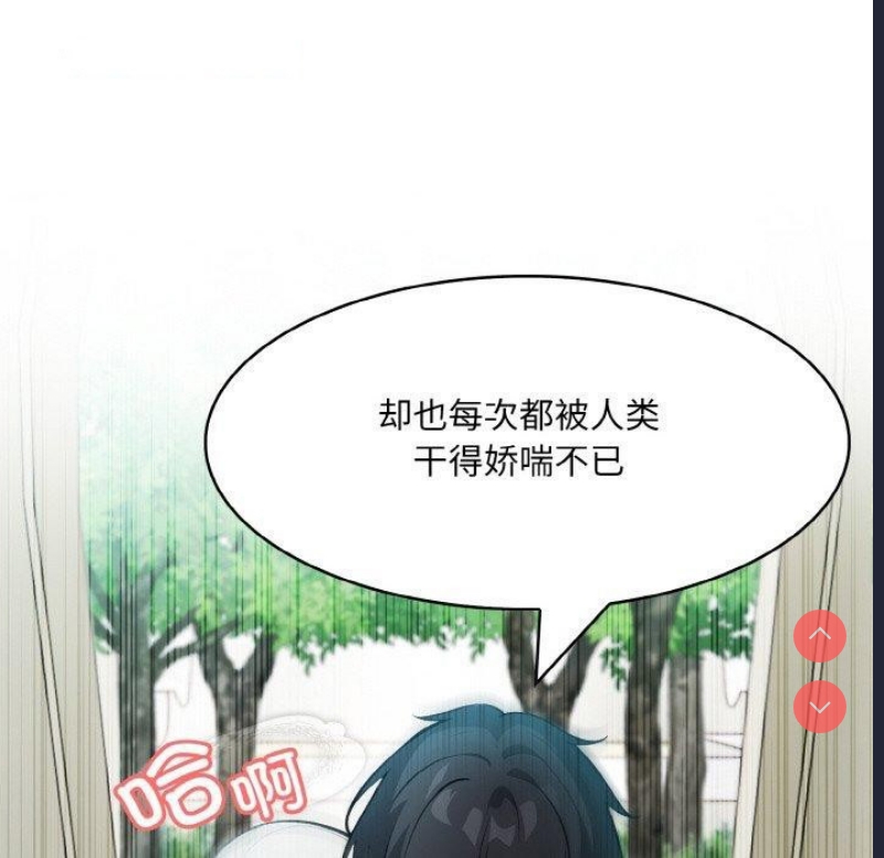 异世界骑士团长