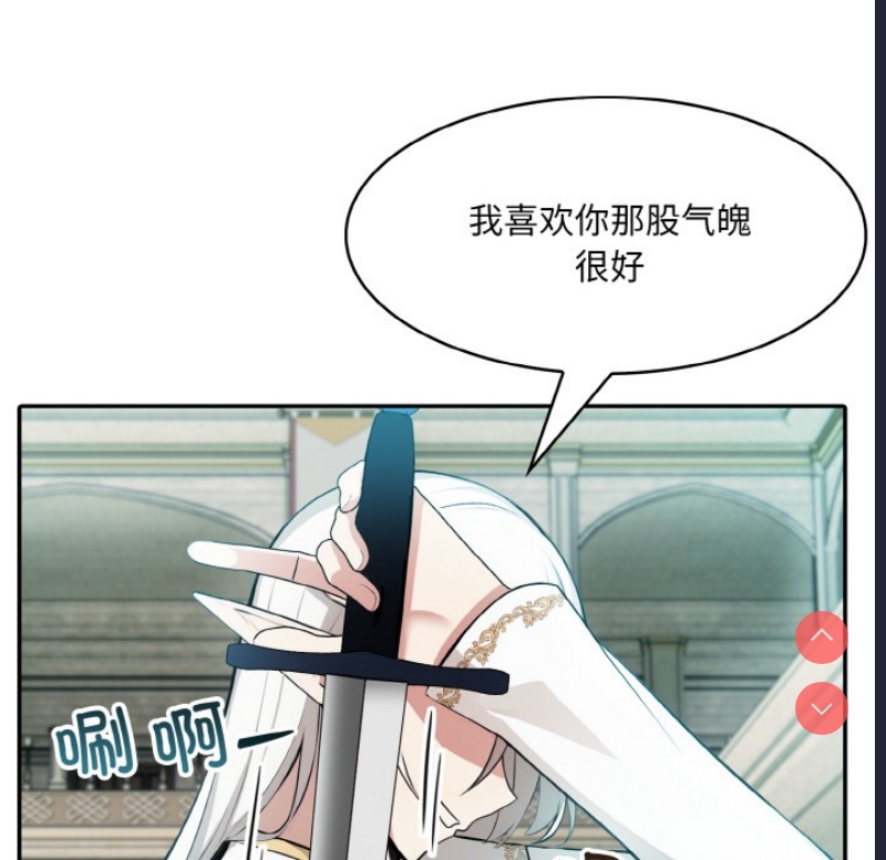 异世界骑士团长