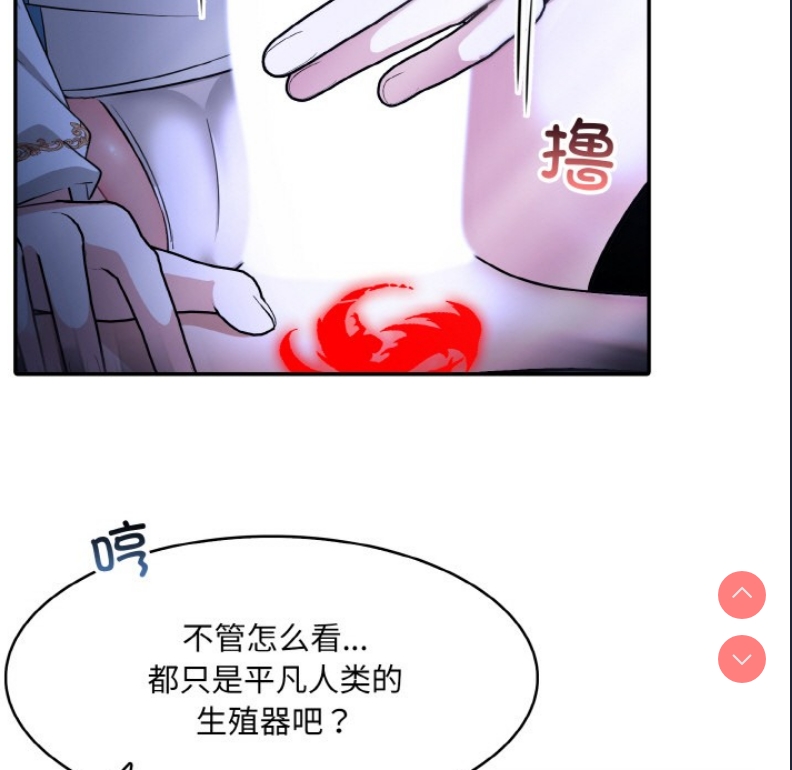 异世界骑士团长
