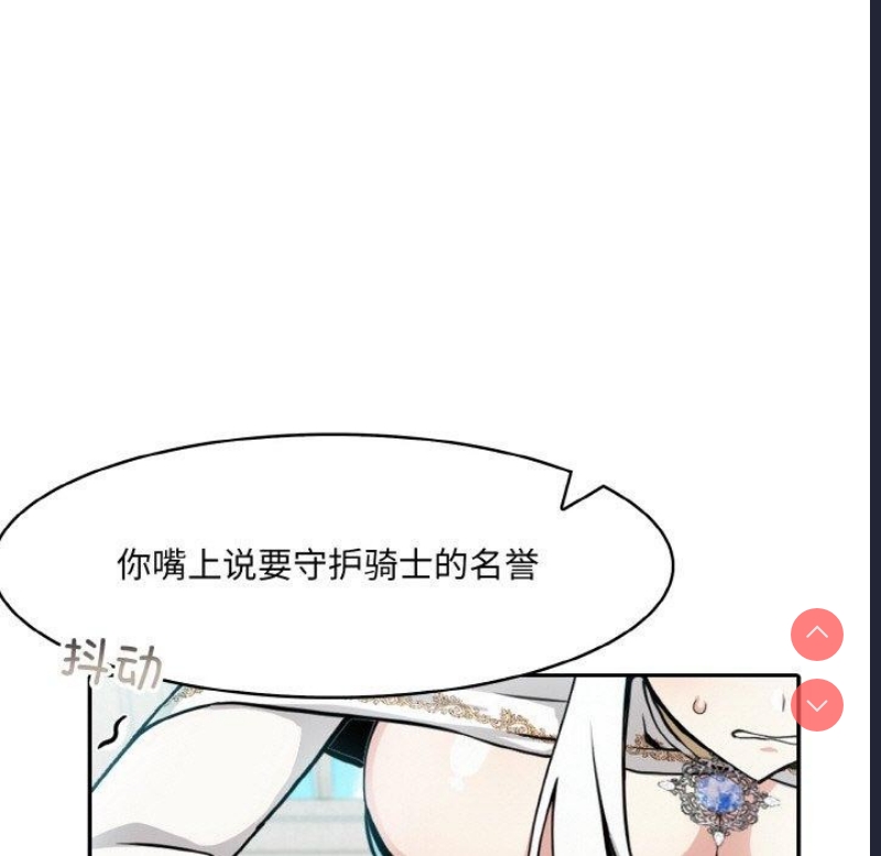 异世界骑士团长