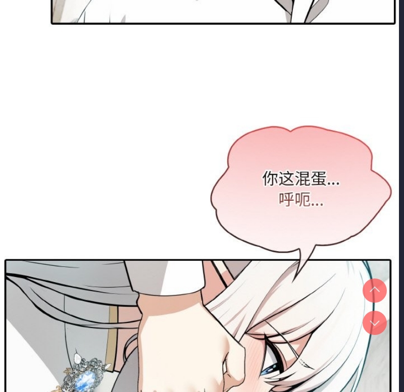 异世界骑士团长