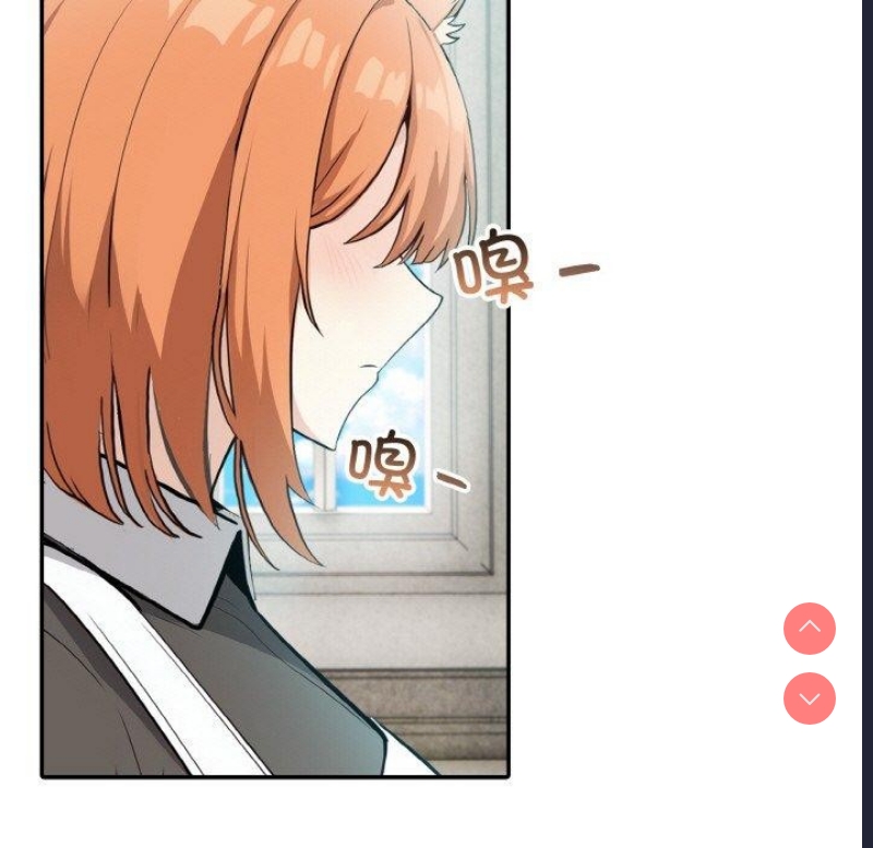 异世界骑士团长