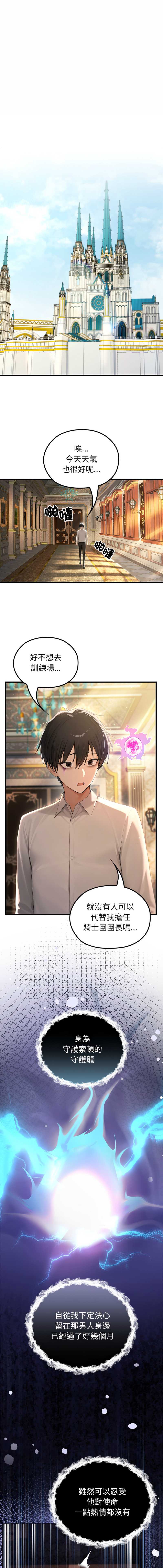 异世界骑士团长