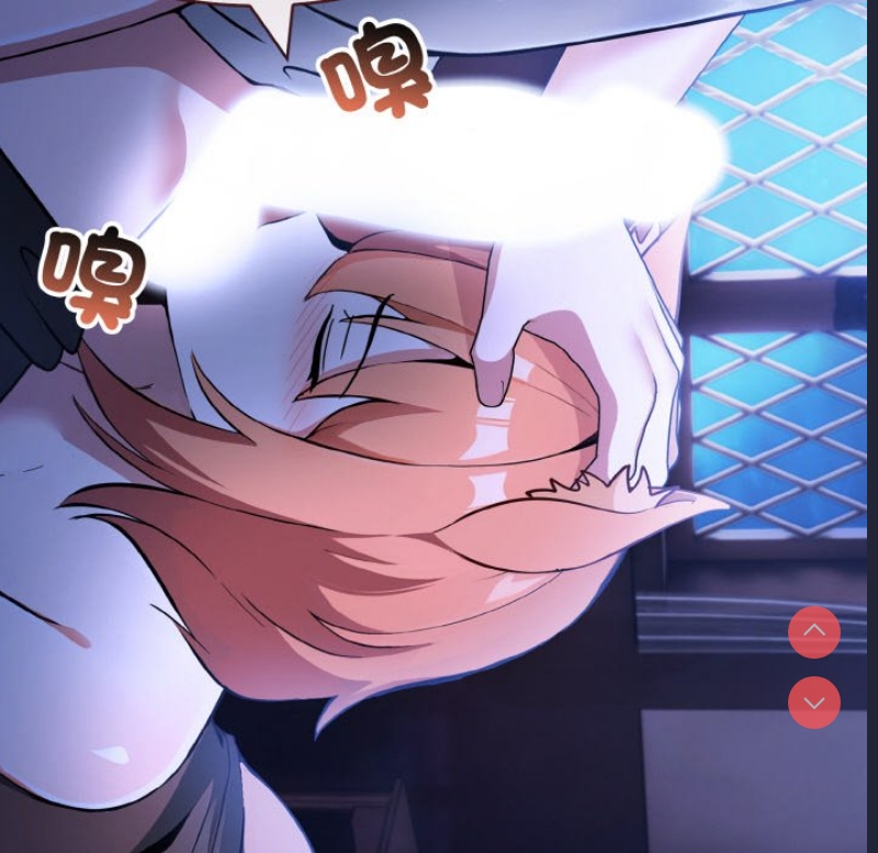 异世界骑士团长