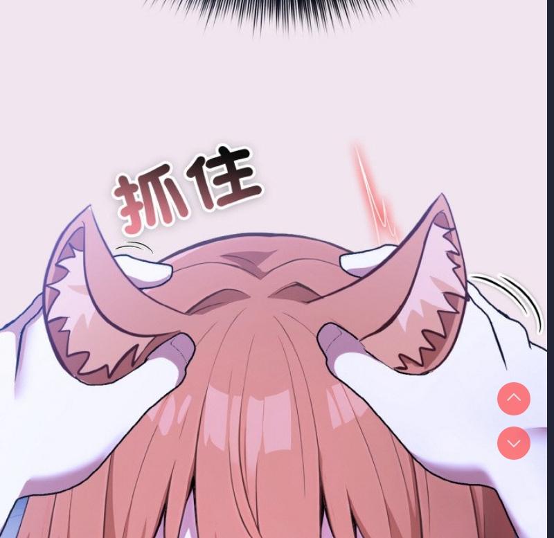 异世界骑士团长