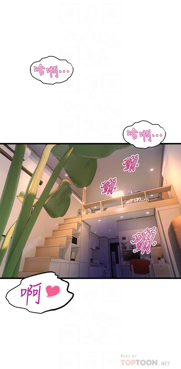 舞蹈系学姐们