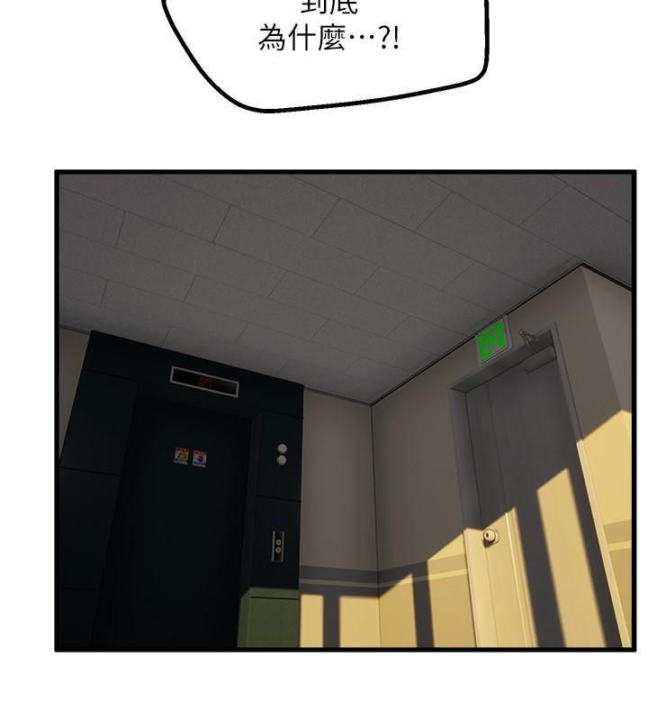 舞蹈系学姐们