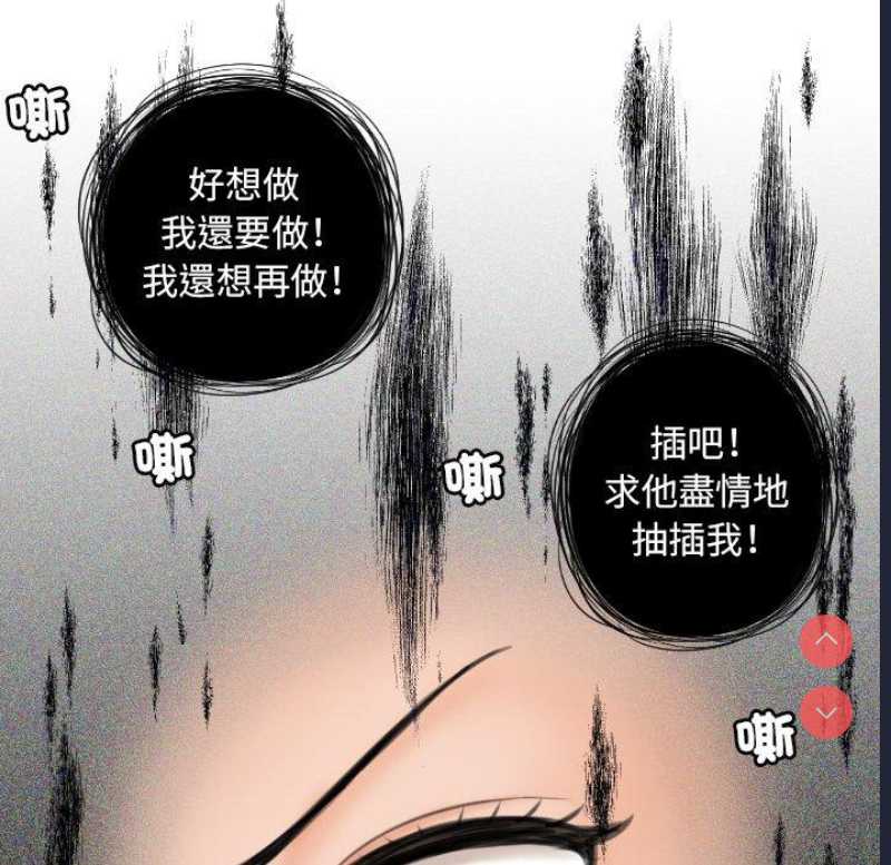 我的完美娃娃/我的专属娃娃