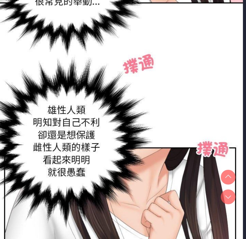 我的完美娃娃/我的专属娃娃
