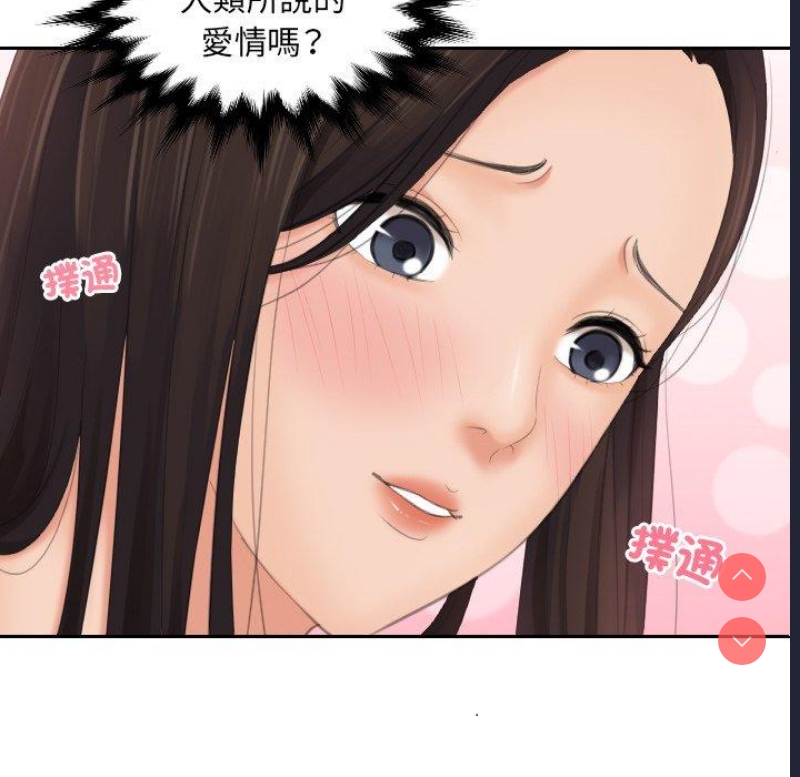 我的完美娃娃/我的专属娃娃