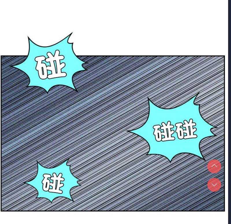 我的完美娃娃/我的专属娃娃
