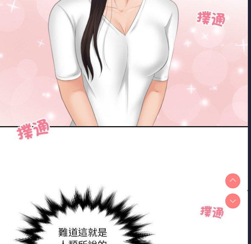 我的完美娃娃/我的专属娃娃