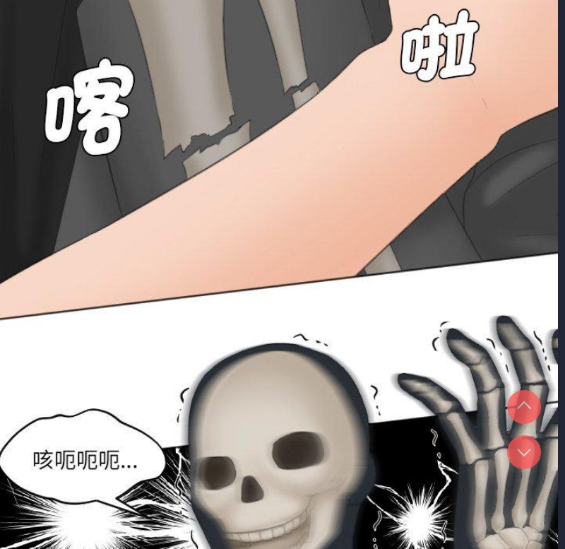 我的完美娃娃/我的专属娃娃