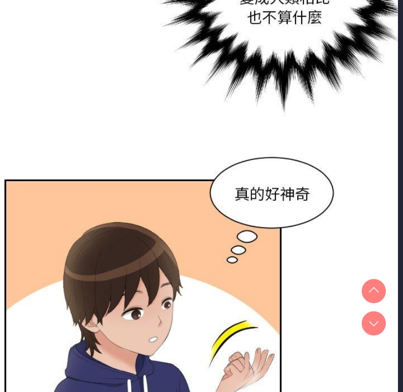 我的完美娃娃/我的专属娃娃