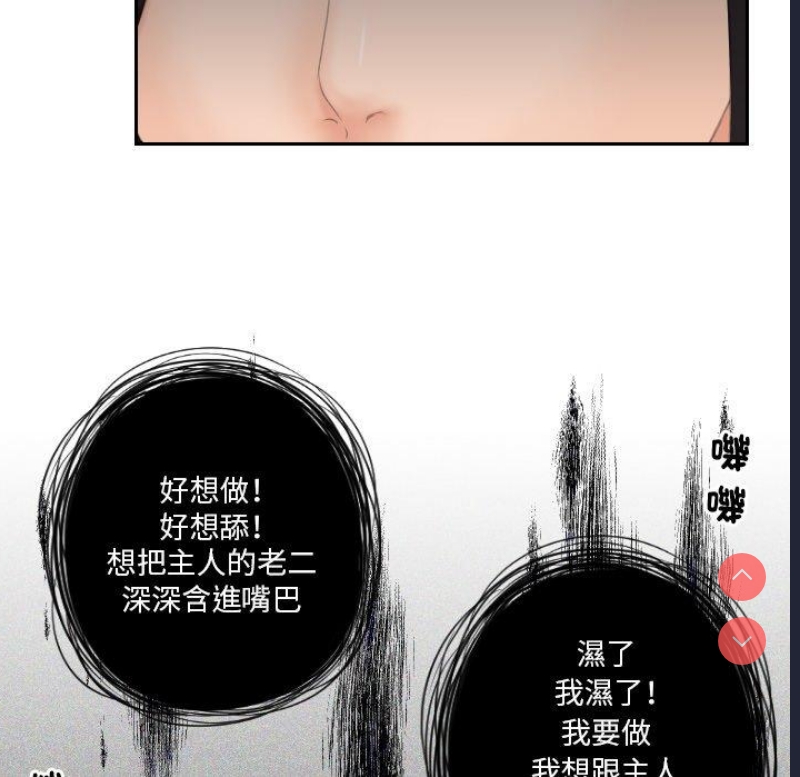 我的完美娃娃/我的专属娃娃