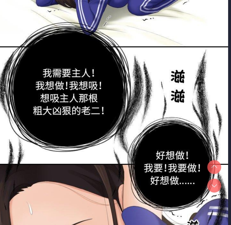 我的完美娃娃/我的专属娃娃